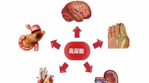 合肥代孕的方式,香港正规验血机构排名准不准_抽血鉴定性别要多少费用!-上海