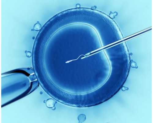 合肥代孕的孩子怎么上户口,试管放2个胚胎的
